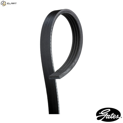 Vribbed belt 4pk803 - vribbed,